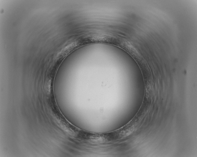 X0000089370454200707061118