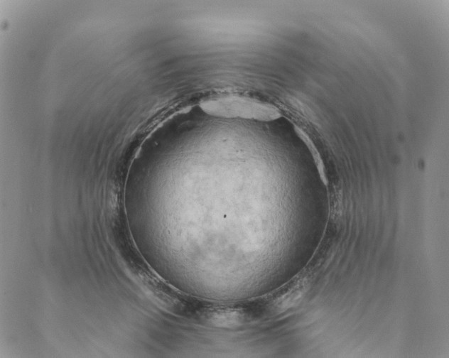 X0000089370456200707061118