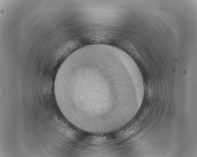 X0000089370458200707061118