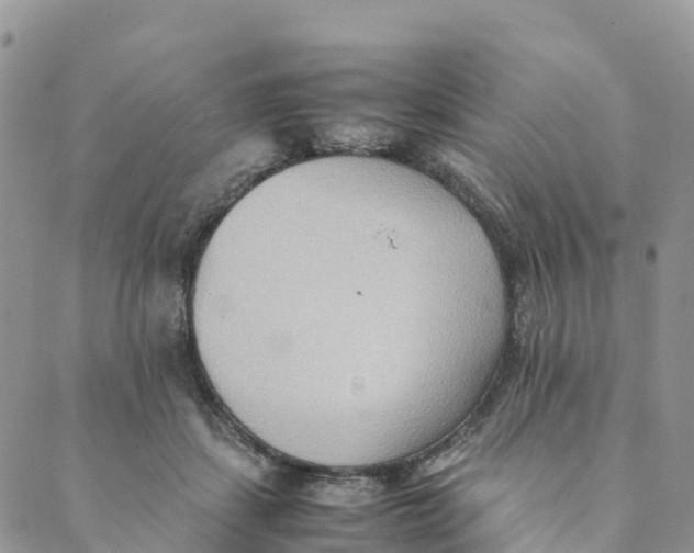 X0000089370459200707061118