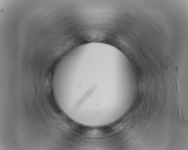 X0000089370460200707061118