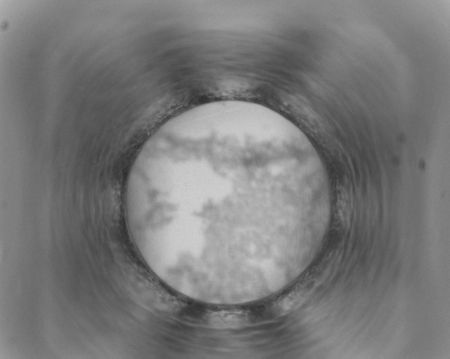 X0000089370461200707061118