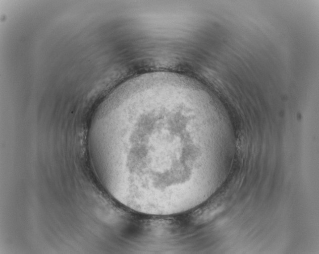 X0000089370462200707061118