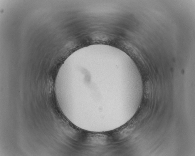 X0000089370463200707061118