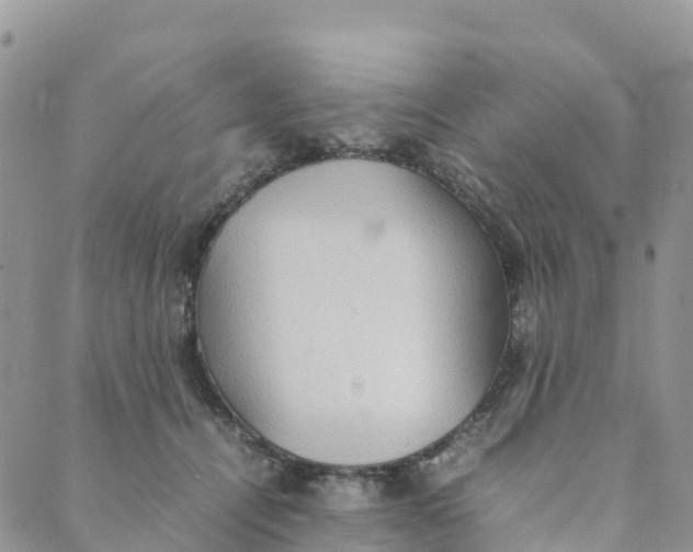 X0000089370464200707061118