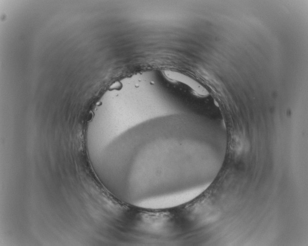 X0000089370465200707061118