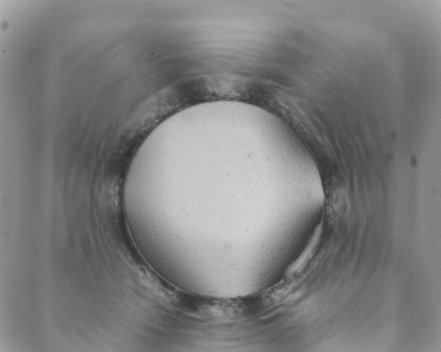 X0000089370466200707061118