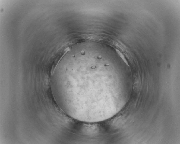 X0000089370469200707061118