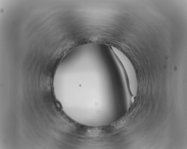 X0000089370470200707061118