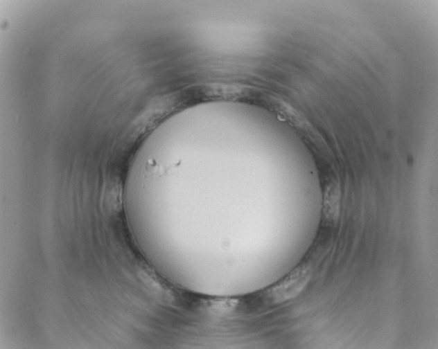 X0000089370474200707061118