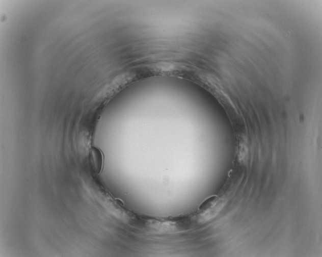 X0000089370476200707061119