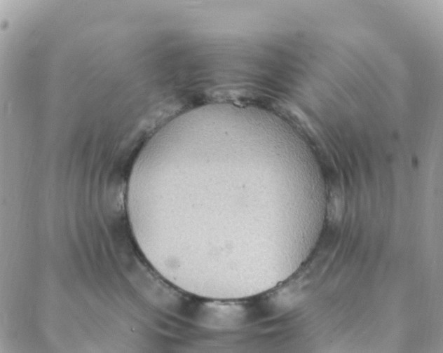 X0000089370477200707061119