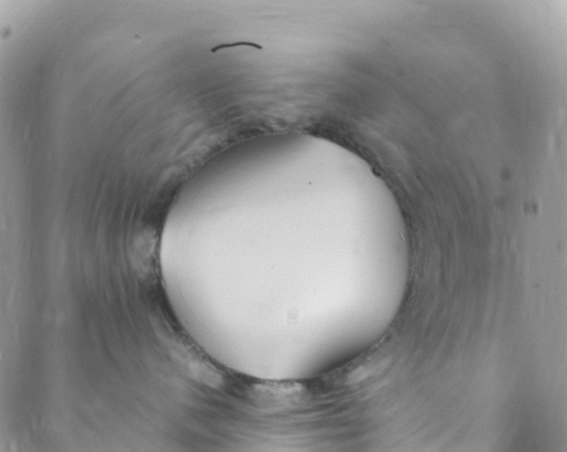 X0000089370480200707061119