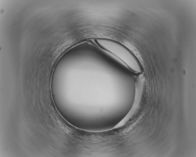 X0000089370481200707061118