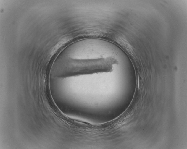 X0000089370483200707061118