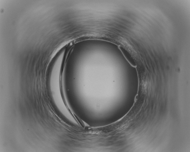 X0000089370484200707061118