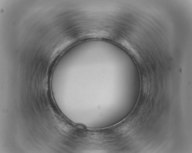 X0000089370486200707061118