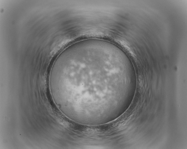 X0000089370487200707061118