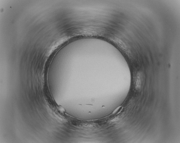 X0000089370488200707061118