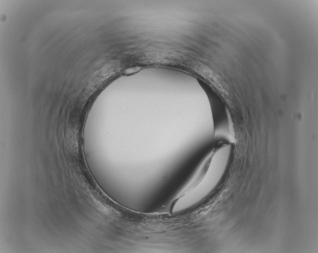 X0000089370489200707061118