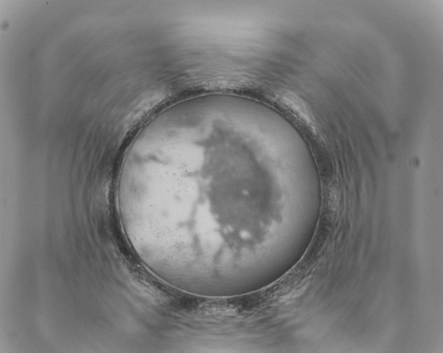 X0000089370491200707061118