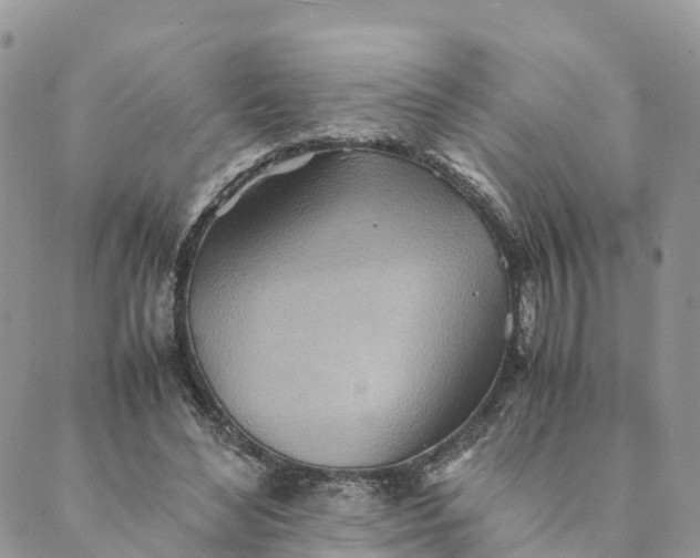 X0000089370492200707061118