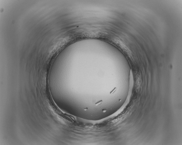 X0000089370493200707061118