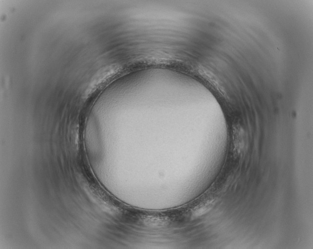 X0000089370494200707061118