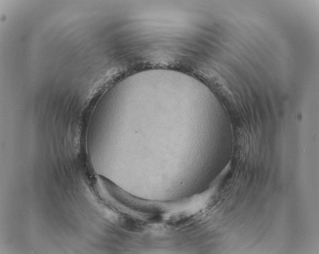 X0000089370496200707061118