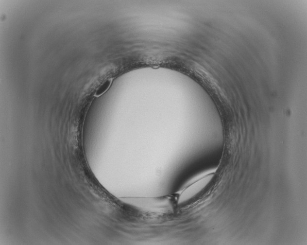 X0000089370497200707061118