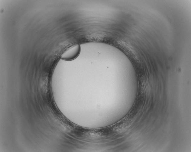 X0000089370498200707061118