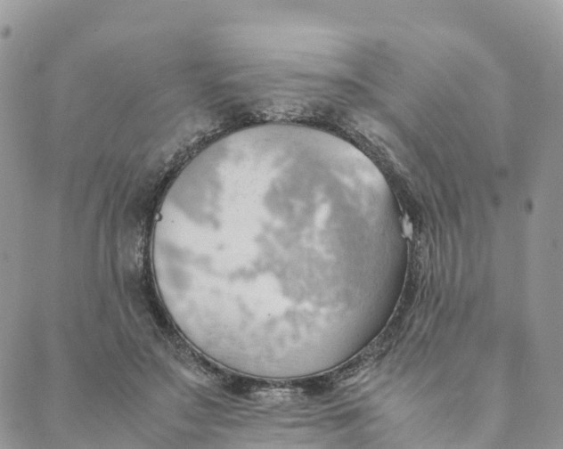 X0000089370499200707061118