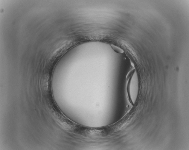 X0000089370501200707061117