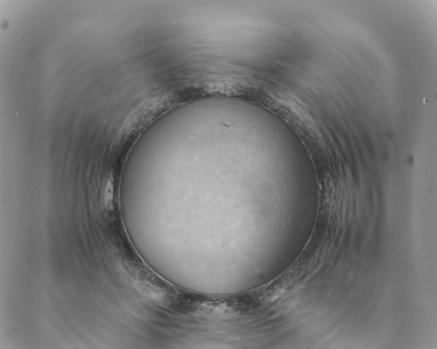 X0000089370502200707061117