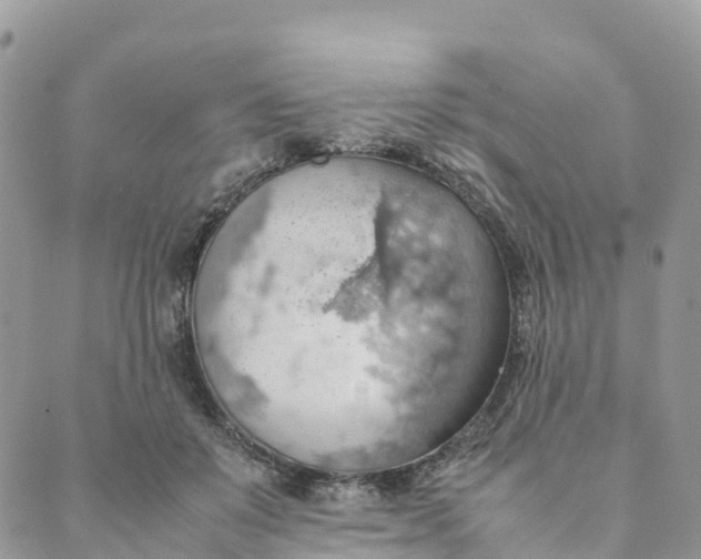 X0000089370503200707061117