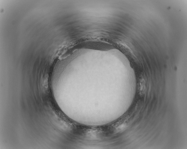 X0000089370504200707061117