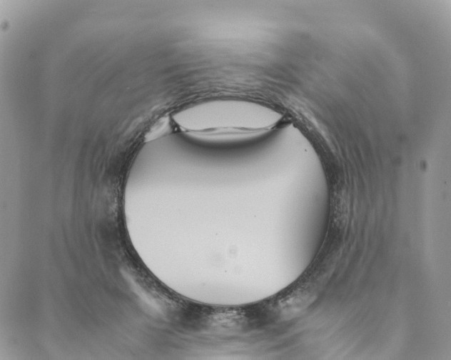 X0000089370505200707061117