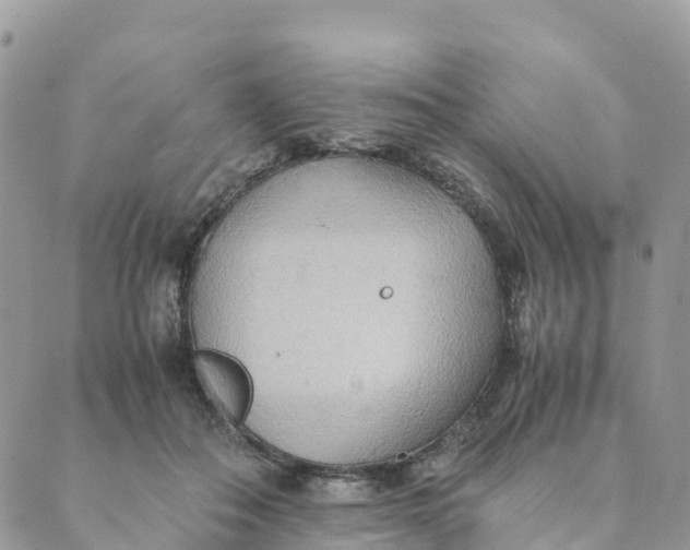 X0000089370506200707061117