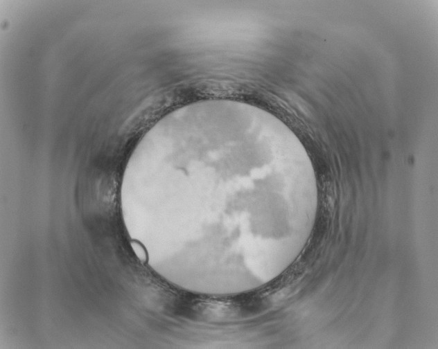 X0000089370507200707061117