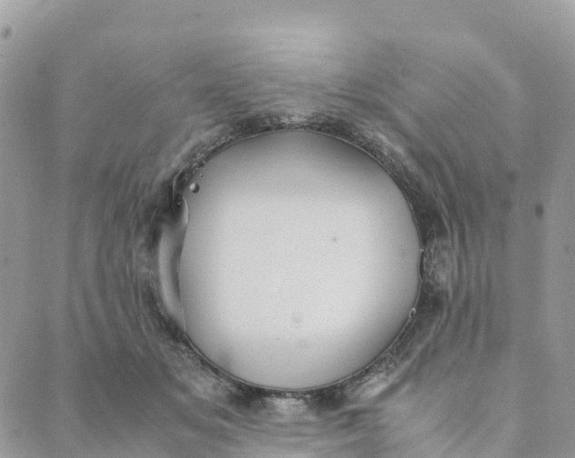 X0000089370509200707061117