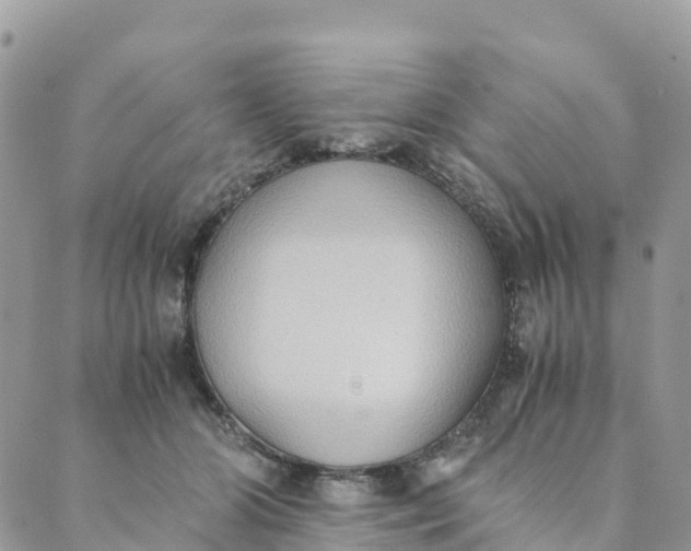 X0000089370510200707061117