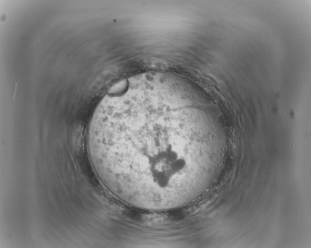 X0000089370511200707061117