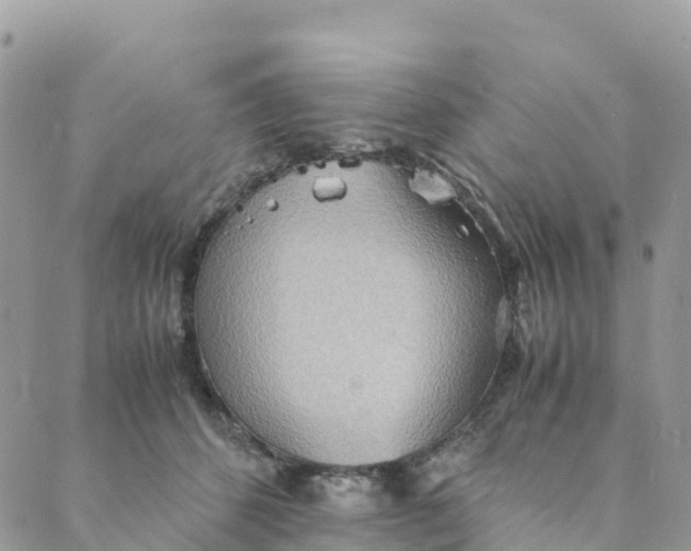 X0000089370512200707061117