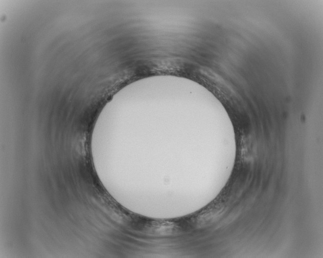 X0000089370514200707061117