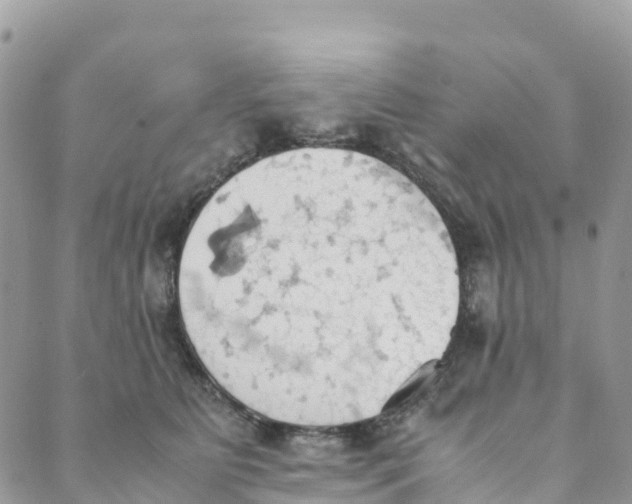 X0000089370515200707061117