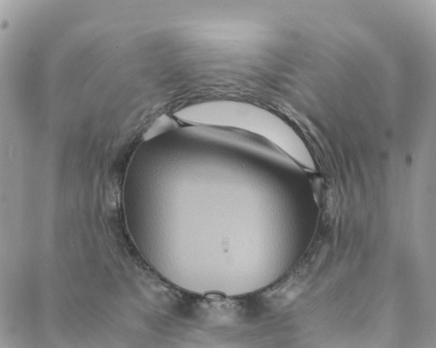 X0000089370517200707061117