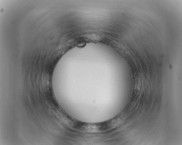 X0000089370518200707061117