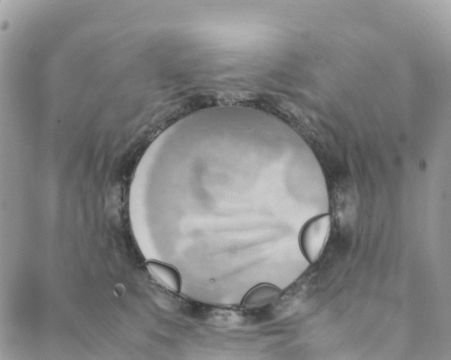 X0000089370519200707061117