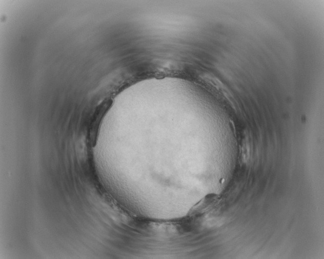 X0000089370520200707061117