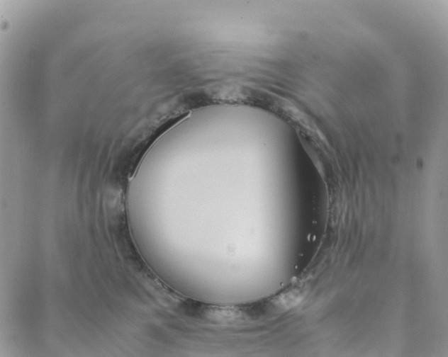 X0000089370521200707061117